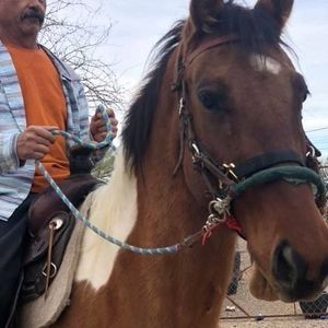 Meet your Posher, Luis